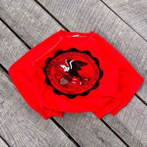 Vintage 70s Northern Illinois University Sweatshirt